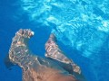 swimming_pool_159