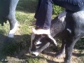 ruzgar_305