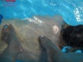 aleda_ayak_fetish118